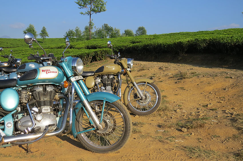 kerala tea bullets